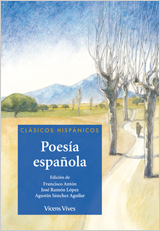 28. Poesía española